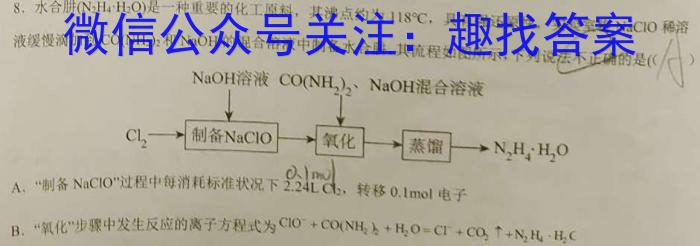 安徽省2023年九年级监测试卷（4月）化学