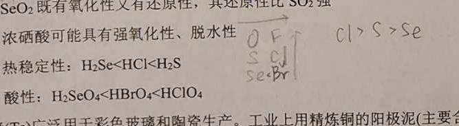 邵阳市二中2023年高一上学期期中考试化学