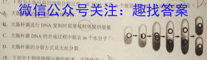 2023年普通高等学校招生全国统一考试仿真模拟卷(一)生物试卷答案