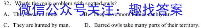 河南省驻马店市2023届九年级下期第一次质检测试题英语