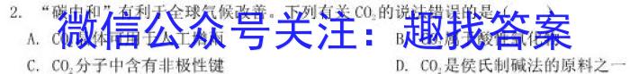 师大名师金卷2023年陕西省初中学业水平考试（五）化学