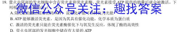 衡水金卷先享题2024-2023下学期高三一模(老高考)生物
