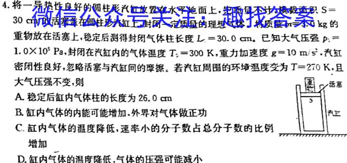 2023届全国老高考高三3月联考(标识※)物理.