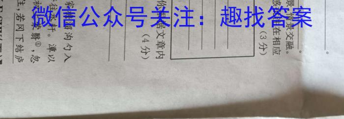 湖北省2022-2023学年度下学期期中新洲区部分学校高中二目标检测语文