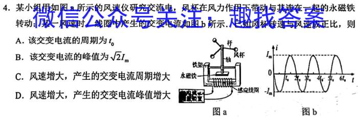 2023年九师联盟高三年级4月质量检测（X）物理.
