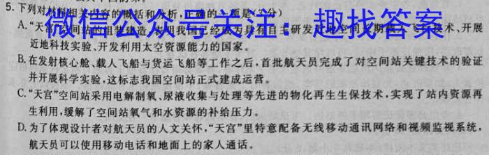 2023年普通高等学校招生统一考试 S3·临门押题卷(二)语文