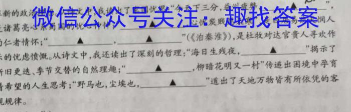 2023年湖南省普通高中学业水平合格性考试仿真试卷(专家版二)语文