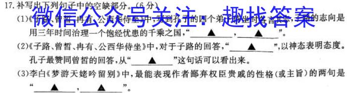 衡水金卷先享题信息卷2023答案 新教材A六语文