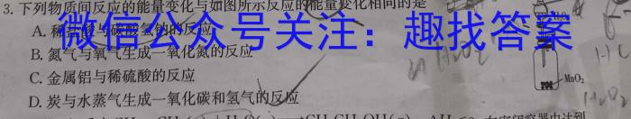 2024-2023学年度下学期高三年级第二次综合素养评价(HZ)化学