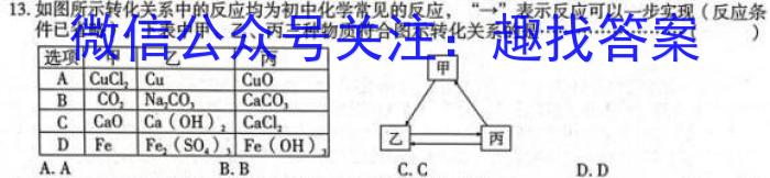 大同一中南校2024-2023年第二学期阶段性综合素养评价（二）化学