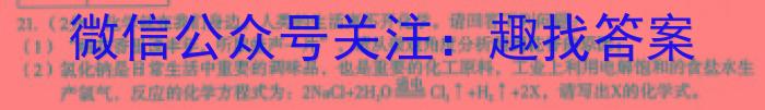 2023年河北省新高考模拟卷（四）化学