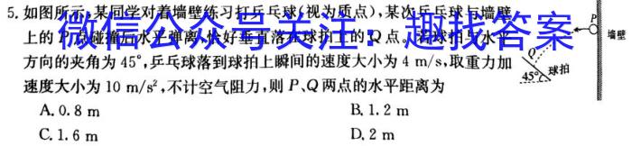 新疆克州2023年高三年级第一次学业水平监测物理`