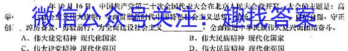 2025届湖南大联考高一年级4月联考（005A·HUN）政治~