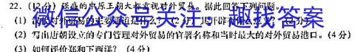 安徽省颍上县2023届九年级教学质量检测历史