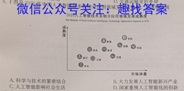 衡中文化2023年衡水新坐标·信息卷(六)历史试卷
