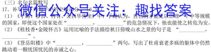 安徽省滁州市2023年中考第一次模拟考试语文