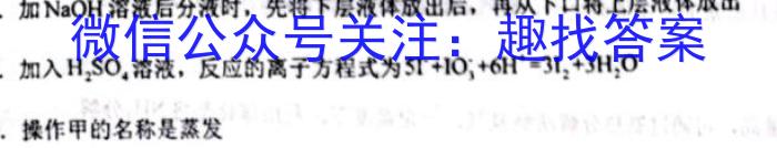 【益卷】2023年陕西省初中学业水平考试全真模拟（六）化学