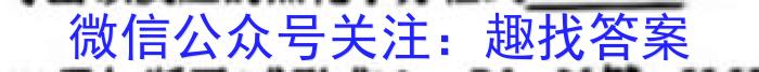 天利38套河北省2023年初中毕业生升学文化课考试押题卷(四)化学