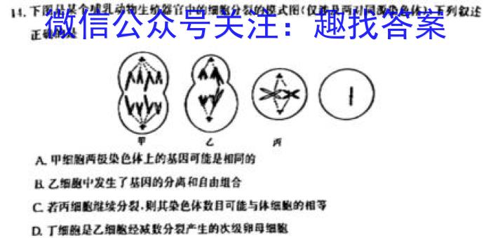 ［周口二模］2023届周口市高三年级第二次模拟考试生物