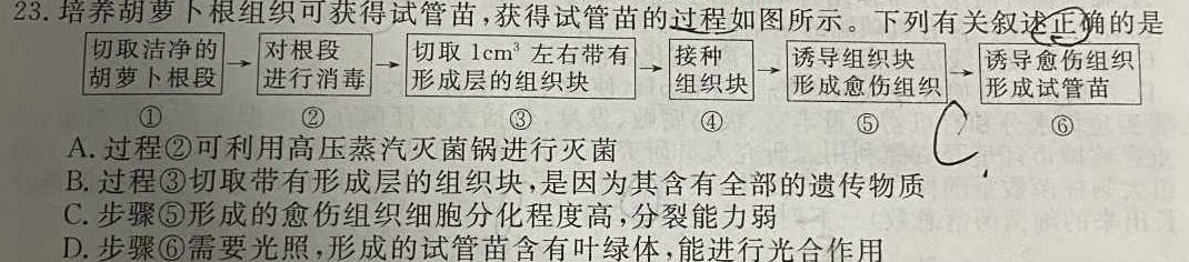 2023年全国高考·冲刺预测卷(六)生物