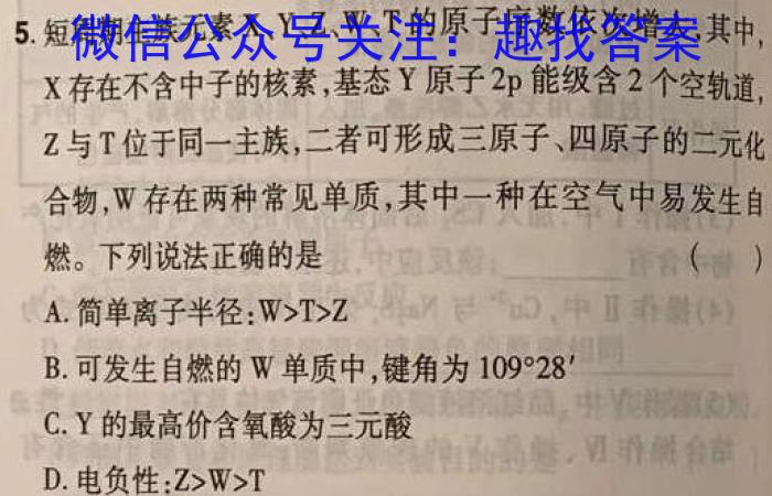河南省新乡市2023年九年级学业水平模拟测评化学