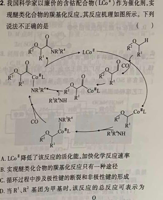 江西省吉安市2023届九年级第二学期第一次月考检测试卷（四校联考）化学