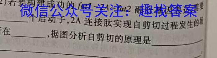山东省2024届高二年级3月联考生物
