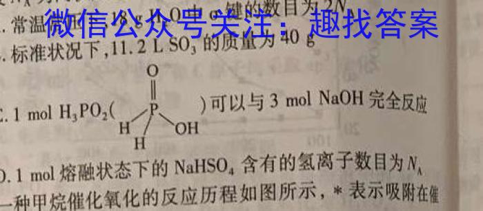 2023年河南决胜中招模拟试卷（二）化学