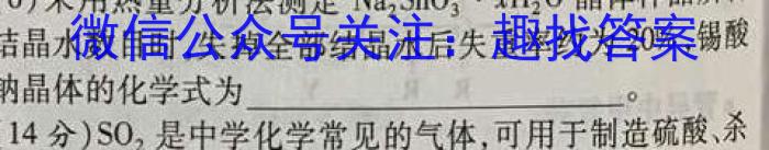 2023年陕西省普通高中学业水平考试全真模拟(A)化学