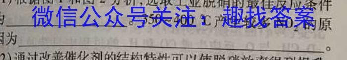 2023届名校之约·中考导向总复习模拟样卷 二轮(七)化学