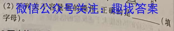 河南省驻马店市2023届九年级下期第一次质检测试题化学