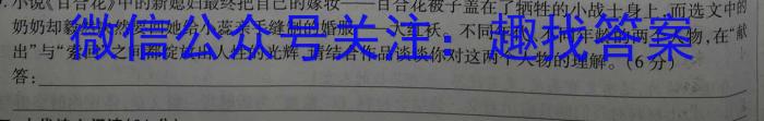 安徽省2023年九年级第二次教学检测语文