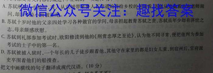 2023年普通高等学校招生全国统一考试猜题信息卷(新高考)(二)语文