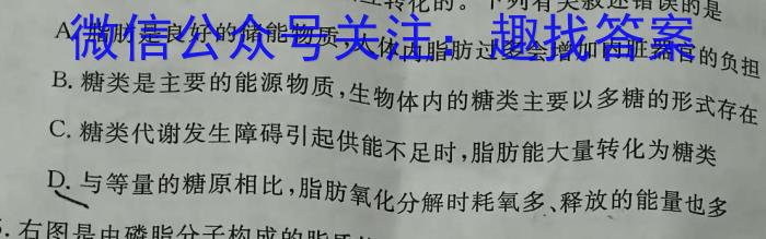2023年江西省恩博教育大联考高三4月联考生物试卷答案