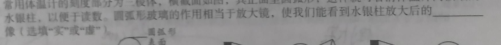 2023年陕西省初中学业水平考试全真预测试卷A版-物理