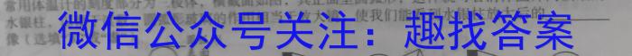 安徽省中考必刷卷·2023年名校内部卷（六）.物理