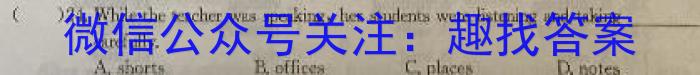 2023年陕西省初中学业水平考试·全真模拟（四）A卷英语试题