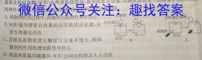 2024届广东大联考高二4月联考（23-350B）生物