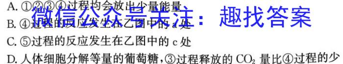 2023年云南大联考高二年级3月联考生物