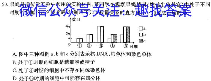 衡水名师卷 2023年辽宁名校联盟·信息卷(四)生物