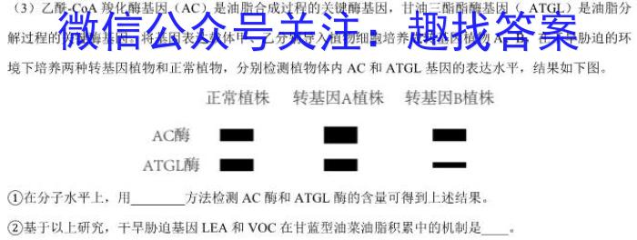 衡水名师卷 2023年辽宁名校联盟·信息卷(一)生物