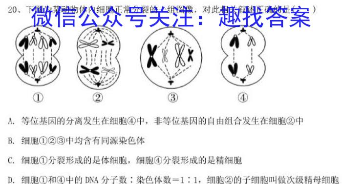 衡水金卷先享题压轴卷2023答案 新教材XA二生物