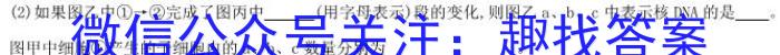 2023年普通高等学校招生统一考试青桐鸣高三4月大联考生物试卷答案