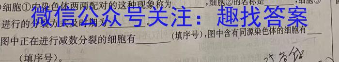 2024-2023学年河南省高二期中考试(23-389B)生物