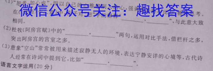 江西省2023届九年级《学业测评》分段训练（六）语文