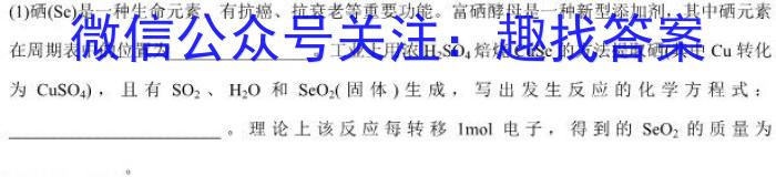安徽省2023届九年级下学期教学质量监测（六）化学