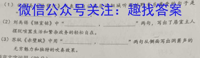 陕西省长安区2023年九年级第一次模拟A卷语文