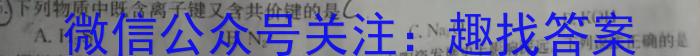 2023年河北省新高考模拟卷（五）化学