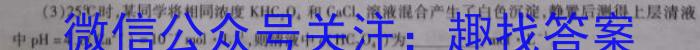 2023年商洛市第二次高考模拟检测试卷（23-390C）化学