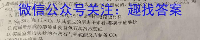 江西省2023年初中学业水平考试适应性试卷（一）化学